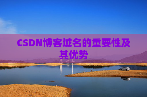 CSDN博客域名的重要性及其优势